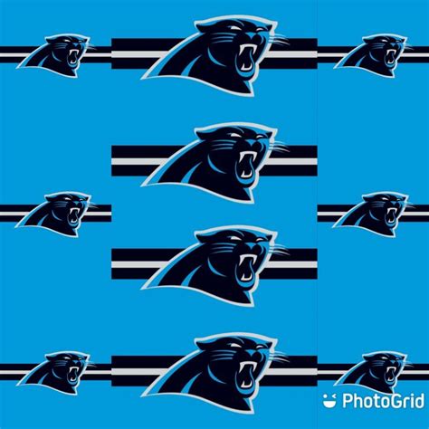 Pin On Carolina Panthers