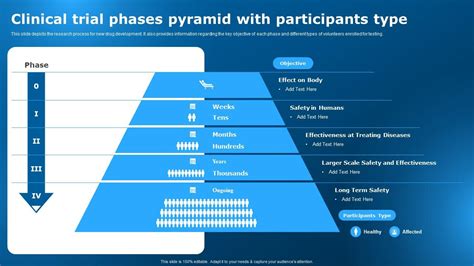 Clinical Trial Phases Pyramid With Participants Type Clinical Research