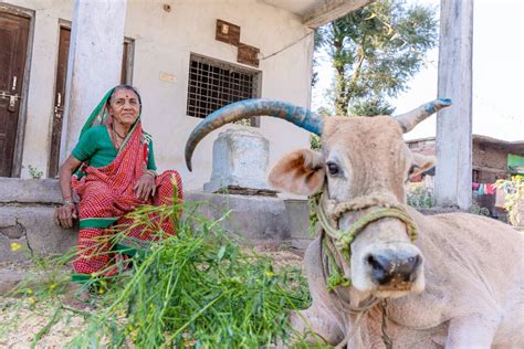 Farmers in Indian Village · Free Stock Photo