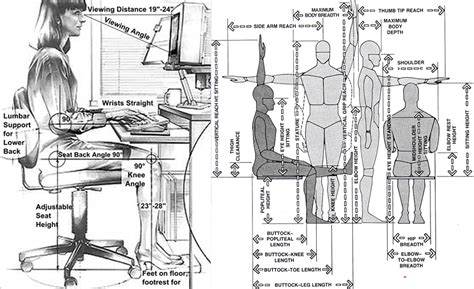 Anthropometry In Architecture Jd Institute