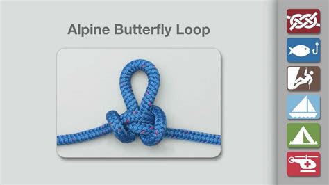 How To Tie An Alpine Butterfly Loop Youtube