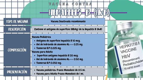 Hepatitis Hvb Ficha De Vacunaci N Heydi Mayli Rm Udocz