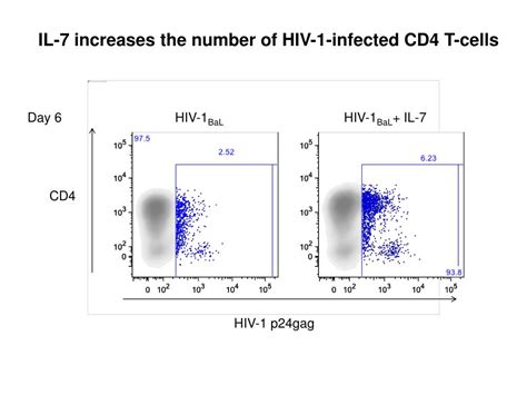 Ppt Hiv 1 Transmission From Semen To Cervico Vaginal Tissue Ex Vivo