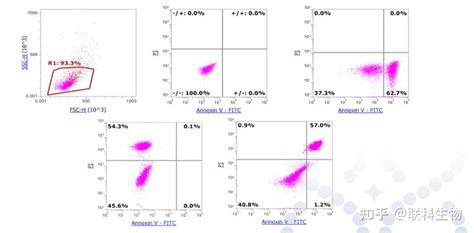 流式细胞术 — 细胞凋亡数据分析技巧讲义 知乎