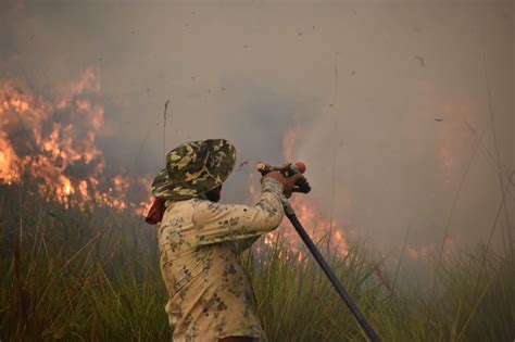 Arde Corrientes Los Incendios Forestales No Dan Tregua Reconquista