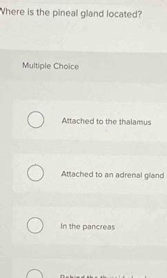 Solved Where Is The Pineal Gland Located Multiple Choice Attached To