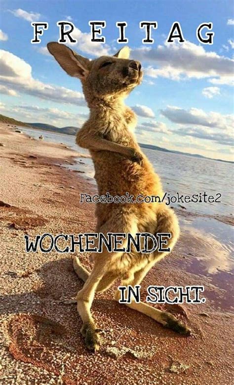 Cool Freitag Endlich Wochenende Bilder Und Spr Che F R Whatsapp