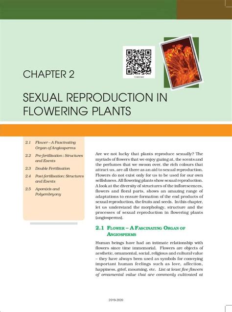 Up Board Book Class 12 Biology Chapter 2 Sexual Reproduction In Flowering Plants