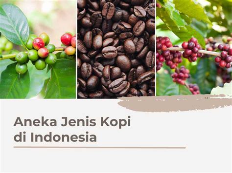 Jenis Jenis Kopi Indonesia Daftar Pustaka