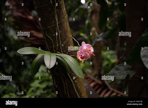 Fairchild Tropical Botanic Garden In Miami Florida Best Collection