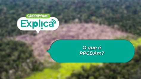 O que é PPCDAm Greenpeace Explica YouTube