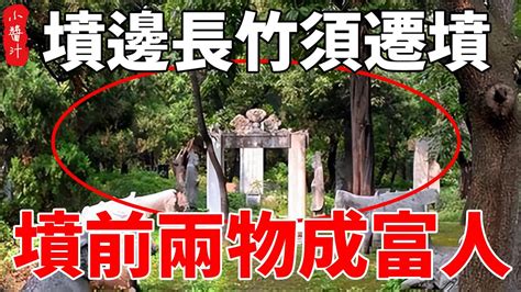 “墳邊長竹須遷墳，墳前兩物成富人”，爲何要遷墳？兩物又是啥？我們一起來看生活小醬汁風水相學 Youtube