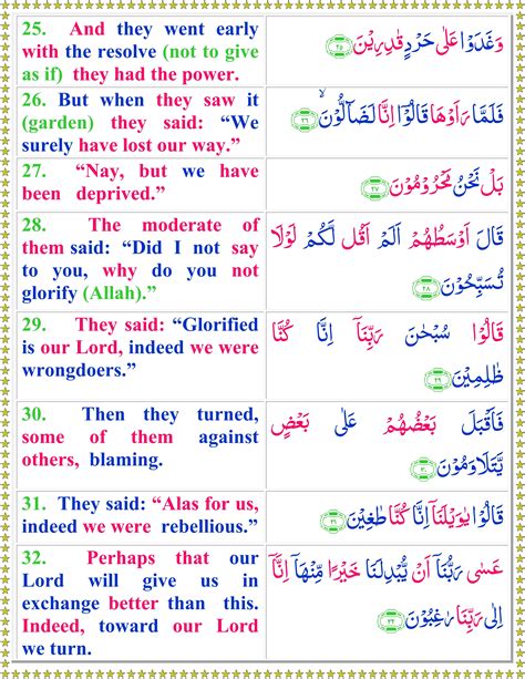 Read Surah Al Qalam With English Translation Quran O Sunnat