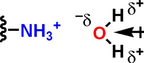 Attractive Noncovalent Interactions In Asymmetric Catalysis Links