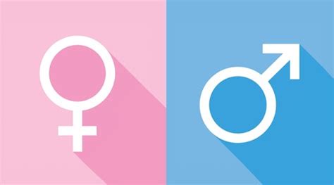 Gender And Biological Sex Flashcards Quizlet