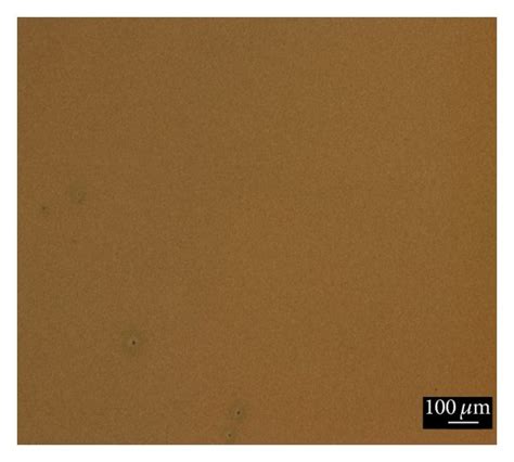 Optical microscope images scale is 100 μm a pristine P3HT layer