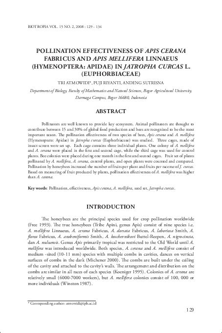 (PDF) Pollination Effectiveness of Apis Cerana Fabricus and Apis ...