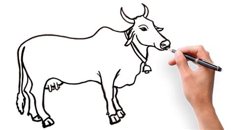 Cow Outline