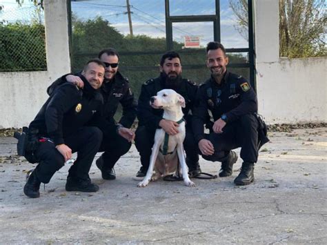 La Policía Nacional rescata en Alcalá de Henares un perro en situación