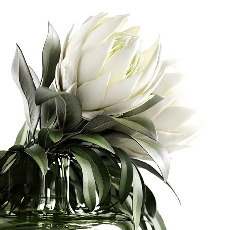 designer bouquets behance