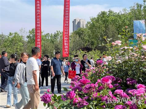 打造月季之城 弘扬“市花”文化 定州市第二届月季文化旅游周开幕 定州频道 长城网