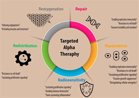 Targeted Alpha Therapy Using Radium 223 From Physics To Biological