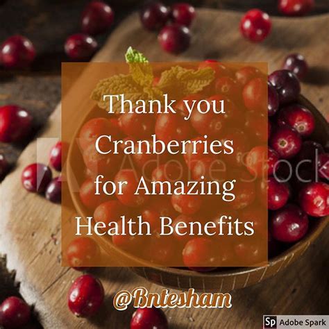 The Incredible Health Benefits Of Cranberries