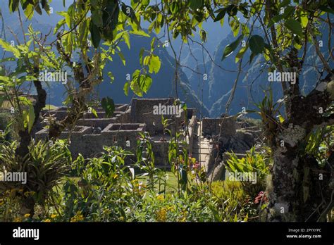 Machu Picchu in Peruvian Andes Stock Photo - Alamy