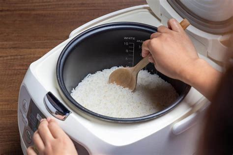 Why Does My Rice Cooker Burn Rice Kitchen Seer