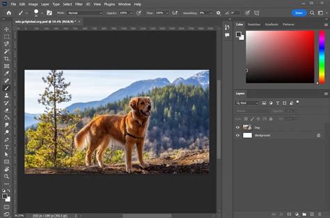 The Best Photo Editing Software With Ai In For Pc And Mac