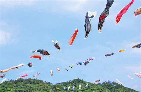 Ryukyu Life: 6 GIF Animations of Flying Fish (Koinobori) in Oku Okinawa