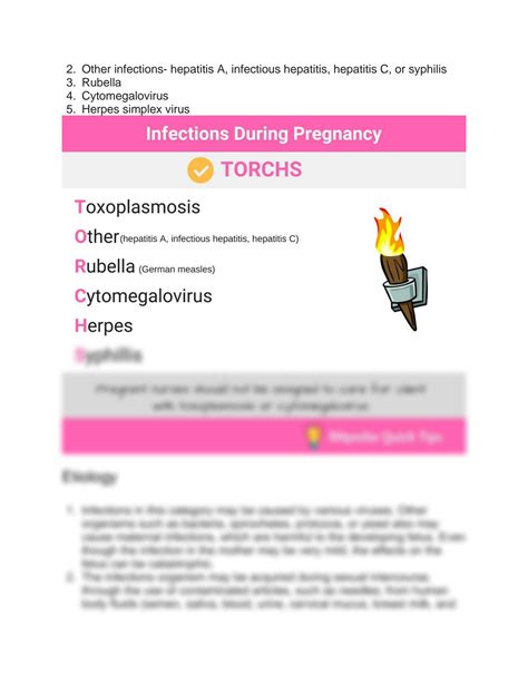 Solution Infections During Pregnancy Nursing Care Plan And Management