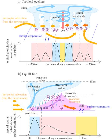 schematic   main structural elements   tropical cyclones