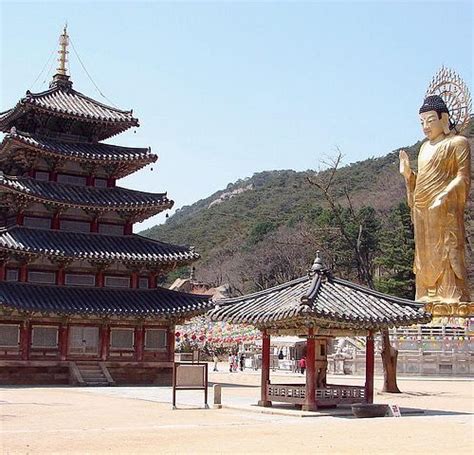 THE 15 BEST Things to Do in Chungcheongbuk-do - 2024 (with Photos ...