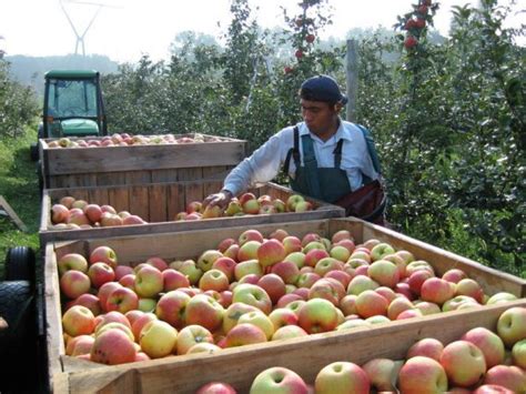 Staff | Solebury Orchards