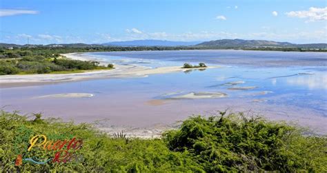 Las Salinas Salt Flats Cabo Rojo Puerto Rico Porta Del Sol Salinas Puerto Rico Puerto