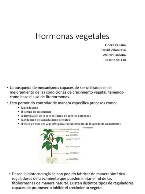 Hormonas Vegetales | PDF | Hormona Vegetal | Biología