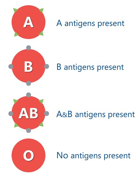 ABO antigens – Northern Ireland Blood Transfusion Service