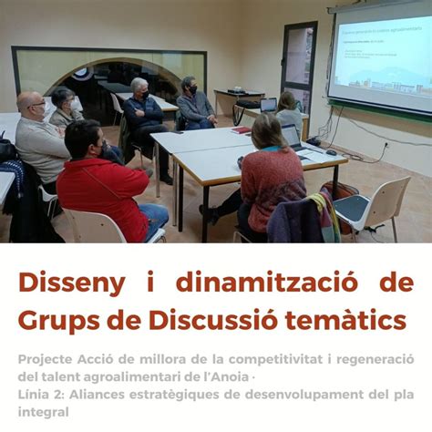 Dise O Y Dinamizaci N De Grupos De Discusi N Tem Ticos Raiels