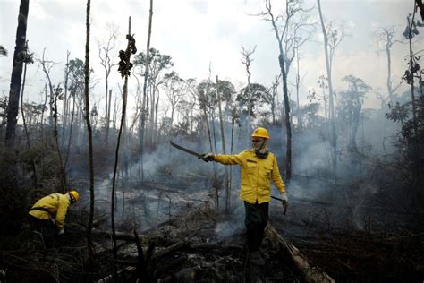 Amazon Rainforest Still Burning Despite Ban From Brazil Government