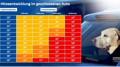 Formel Wie Warm Wird Es Im Auto Bei 20 Grad Und Mehr