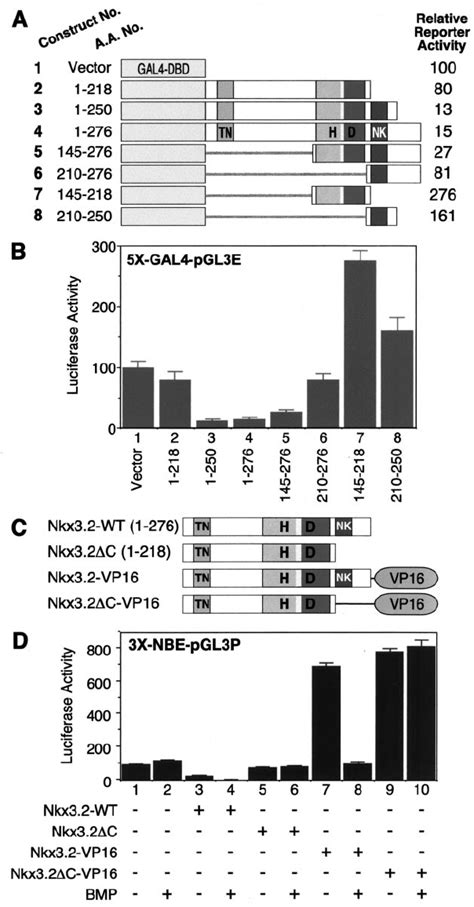 Both The Nk Domain And Homeodomain Of Nkx Are Required For Its