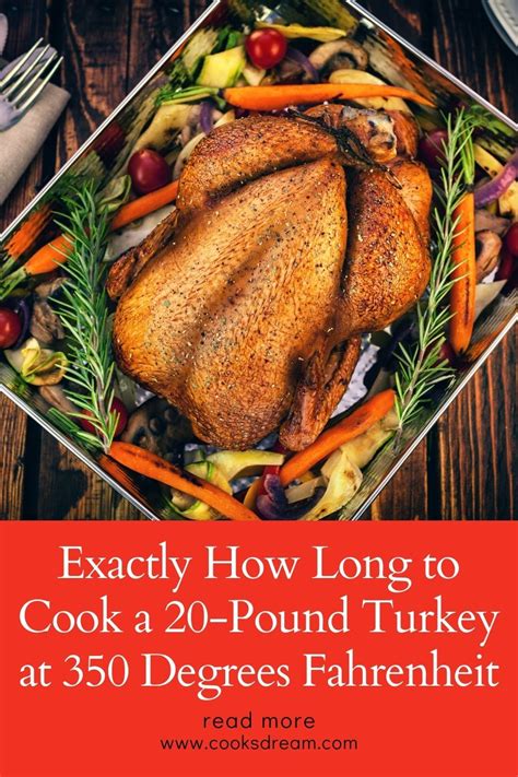 Exactly How Long To Cook A 20 Pound Turkey At 350 Degrees Fahrenheit