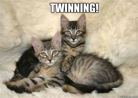 twinning! - Twinning - quickmeme