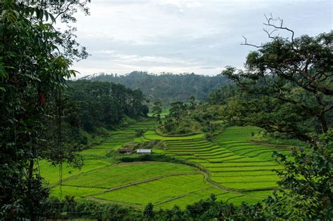 Culture of Meghalaya - Into the House of Clouds