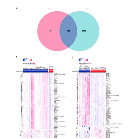 Common Deg Screening A Venn Diagram On Gse Degs And Gse