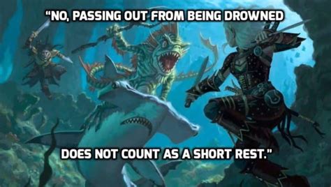 Funny Dungeons And Dragons Quotes From Players Weirdest Games