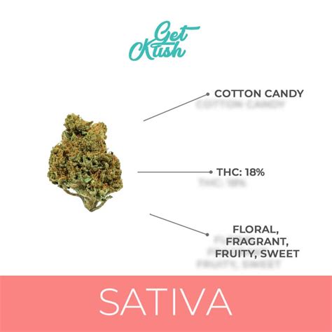 Buy Cotton Candy Strain - Get Kush |Get Free Edibles & Gifts