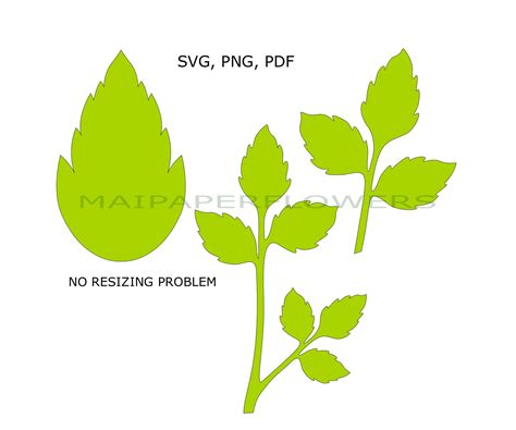 Rose Leaf Svg Dxf Png Pdf Paper Flower Leaves Svg Branch Svg Etsy