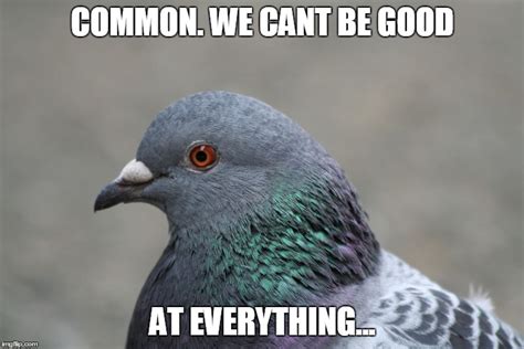 Edited Pigeon Meme Bird X